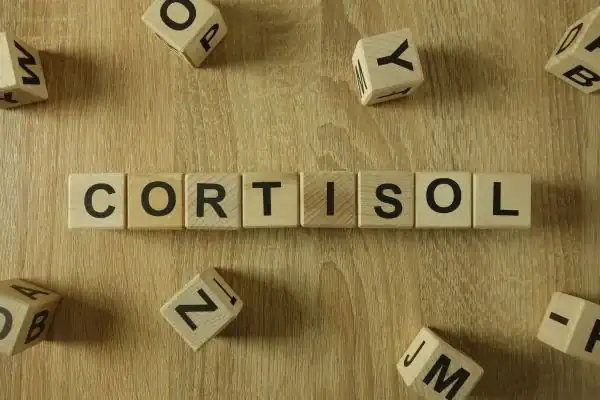 The Hidden Connection: How Stress Shapes Your Fitness and Body Composition 2 Image saying "Cortisol" and how stress Chelmsford impacts your wellbeing and bodies shape